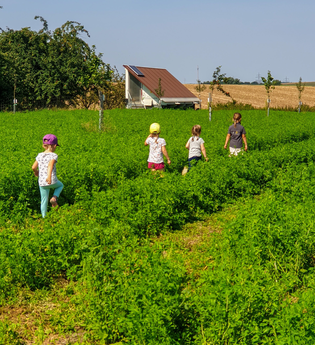 WirsindmobEil | Demeter Betrieb | Erlebnispädagogik | Langenbrettach | Weinsbergertal | © WirsindmobEil