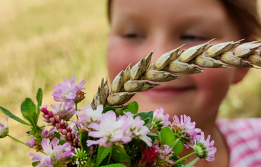 WirsindmobEil | Demeter Betrieb | Erlebnispädagogik | Langenbrettach | Weinsbergertal | © WirsindmobEil