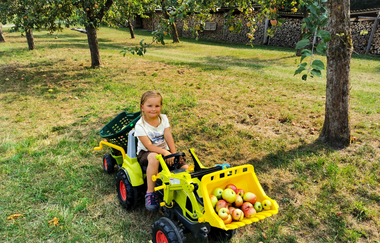 WirsindmobEil | Demeter Betrieb | Erlebnispädagogik | Langenbrettach | Weinsbergertal | © WirsindmobEil