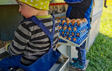 WirsindmobEil | Demeter Betrieb | Erlebnispädagogik | Langenbrettach | Weinsbergertal | © WirsindmobEil