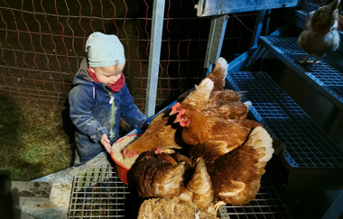 WirsindmobEil | Demeter Betrieb | Erlebnispädagogik | Langenbrettach | Weinsbergertal | © WirsindmobEil