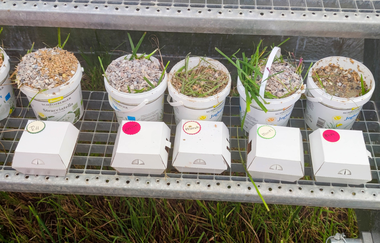 WirsindmobEil | Demeter Betrieb | Erlebnispädagogik | Langenbrettach | Weinsbergertal | © WirsindmobEil