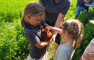 WirsindmobEil | Demeter Betrieb | Erlebnispädagogik | Langenbrettach | Weinsbergertal | © WirsindmobEil