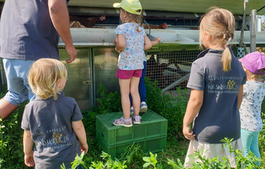 WirsindmobEil | Demeter Betrieb | Erlebnispädagogik | Langenbrettach | Weinsbergertal | © WirsindmobEil
