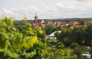 Stäffelestour | Lauffen am Neckar | Weinsüden Weinort | © Neckar-Zaber-Tourismus e.V.