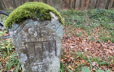 Es ist ein alter Grenzstein auf einer kleinen Lichtung abgebildet. | © Lokale Agenda 21