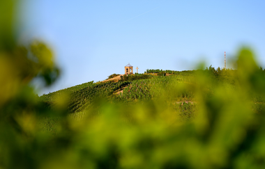 Bild von einem Weinpavillon, der etwas entfernt auf einem Weinberg steht. Im Vordergrund ist unscharf Weinlaub zu sehen. | © DieWeinschmeckerin Nicole Halter