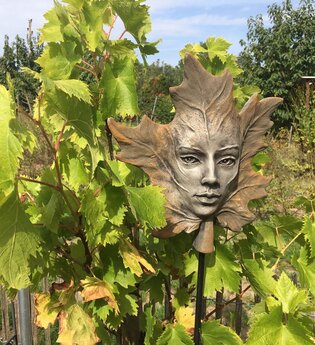 Medizinische Weinprobe | Sana.munda Heilkräutergarten | © Neckar-Zaber-Tourismus e.V.