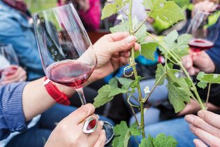 Mission Grape Delight | © Heilbronn Marketing GmbH