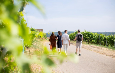 Mission Traubengenuss | © Heilbronn Marketing GmbH