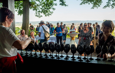 Regina Weihbrecht bei einer Verkostung mit schwarzen Gläsern | © Touristikgemeinschaft Hohenlohe e. V.