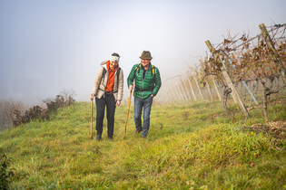 Mit allen Sinnen | © Liebliches Taubertal
