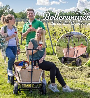 Auf dem Bild sind drei Menschen, die umgeben von Reben inmitten einer Wiese stehen und ein Weinglas in der Hand halten. Eine Frau sitze auf der Kante eines Bollerwagens. In dem Bollerwagen kann man verschiedene Flaschen sehen.