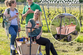 Auf dem Bild sind drei Menschen, die umgeben von Reben inmitten einer Wiese stehen und ein Weinglas in der Hand halten. Eine Frau sitze auf der Kante eines Bollerwagens. In dem Bollerwagen kann man verschiedene Flaschen sehen.
