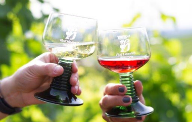 Mit dem Bollerwagen durch die Weinberge