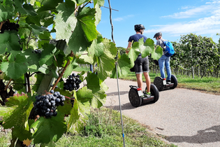 Segway Tour durch die Weinberge mit Anke Schäffer | HeilbronnerLand