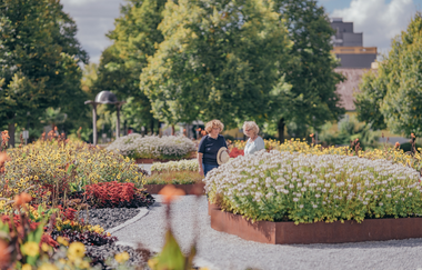 Spaziergänger am Feuerbeet inmitten von Blumenbeeten I Bad Rappenau I HeilbronnerLand | © Stadt Bad Rappenau I Chris Frumolt