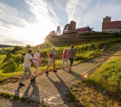 Brackenheim Natur & Wein | Weinfest im Weinsüden Weinort Brackenheim | © Neckar-Zaber-Tourismus e.V.