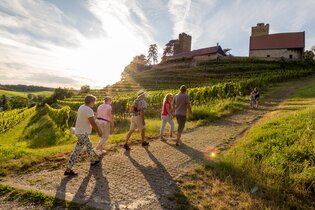Brackenheim Natur & Wein | Weinfest im Weinsüden Weinort Brackenheim | © Neckar-Zaber-Tourismus e.V.