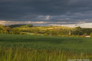 Naturwanderung im Kraichtal | © Stadt Kraichtal