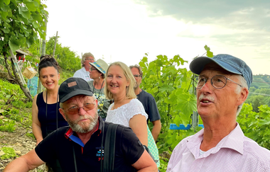 WeinErlebnisFührung | mit WeinErlebnisFührerin Daisy Knisel | HeilbronnerLand | © Daisy Knisel