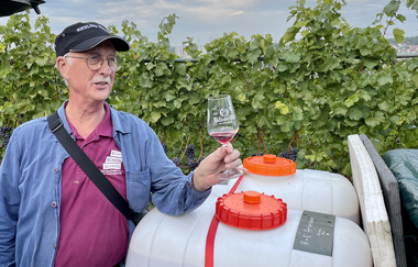 Der Wengerter erklärt mit einem Glas Wein in der Hand die Arbeiten bei der Lese | © Daisy Knisel