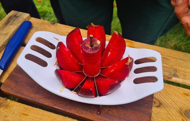 Ned blos en Epfel | © Achim Mayer Mayerhof