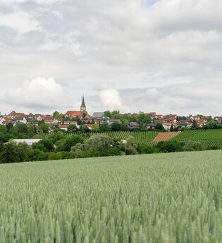 DSGVO NT Neckarwestheim Blick auf Neckarwestheim WEB | © artofpoggel.de Kristof Pogge