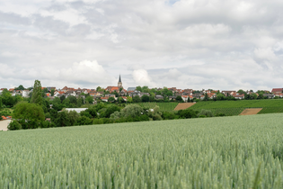 DSGVO NT Neckarwestheim Blick auf Neckarwestheim WEB | © artofpoggel.de Kristof Pogge