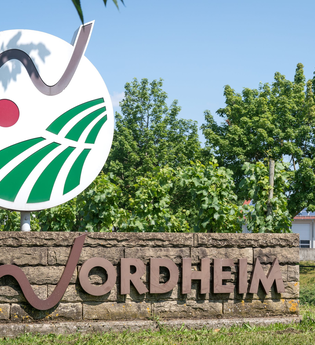 Weinsüden Weinort Nordheim am Neckar | © Gemeinde Nordheim