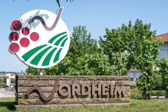 Weinsüden Weinort Nordheim am Neckar | © Gemeinde Nordheim