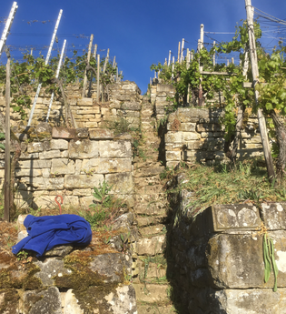 Panoramawanderung am Niedernberg | © Katrin Held