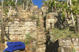 Panoramawanderung am Niedernberg | © Katrin Held