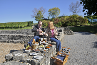 Picknick am Römischen Gutshof | Lauffen a. N. | HeilbronnerLand | © Stadtverwaltung Lauffen a. N.