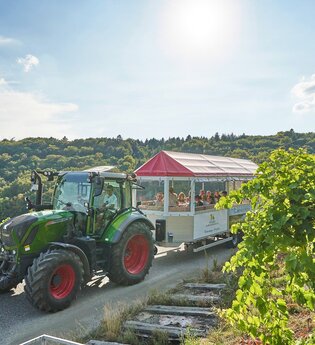 Löwen-Express | Weinbergrundfahrten & fahrende Weinproben | HeilbronnerLand | © Tourismus im Weinsberger Tal & Winzer vom Weinsberger Tal