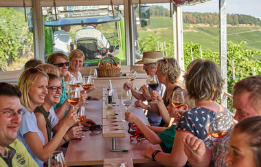 Löwen-Express | Weinbergrundfahrten & fahrende Weinproben | HeilbronnerLand | © Tourismus im Weinsberger Tal & Winzer vom Weinsberger Tal