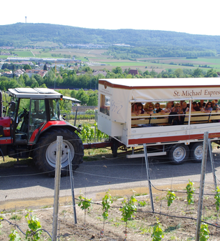 St. Michael Express | Planwagen- und Weinbergrundfahrten | Cleebronn | © Weingärtner Cleebronn-Güglingen