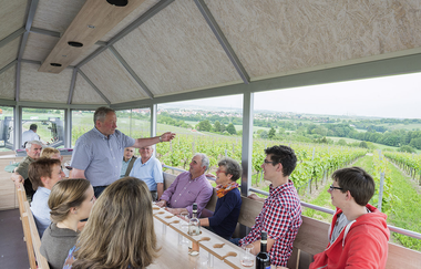 Rother Theo | Planwagen- und Weinbergrundfahrten | Brackenheim | © Weingärtner Stromberg-Zabergäu