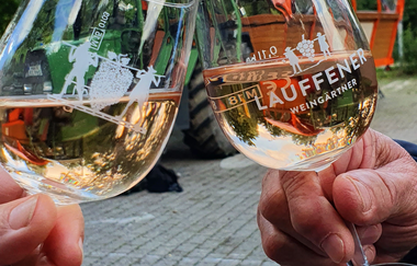 Planwagenfahrt "Wein-Wagen-Hölderlin" mit dem Katzenbeißer-Carrus | © Katzenbeißer Carrus | Planwagen- und Weinbergrundfahrt | Lauffen am Neckar