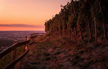 Sonnenuntergang am Scheuerberg in Neckarsulm | © Touristikgemeinschaft HeilbronnerLand e.V.
