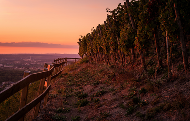 Sonnenuntergang am Scheuerberg in Neckarsulm | © Touristikgemeinschaft HeilbronnerLand e.V.