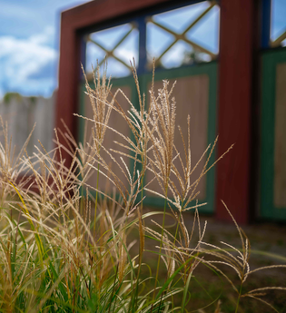 Führung, Quer zum Limes in Öhringen | © Stadt Öhringen