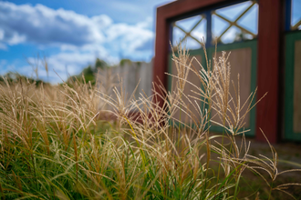 Führung, Quer zum Limes in Öhringen | © Stadt Öhringen