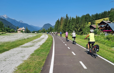 Rad-Bus-Begleitung als Reiseleiter