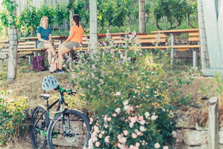 Weinausschank im Zweifelberg | Weinsüden Weinort Brackenheim | HeilbronnerLand | © Touristikgemeinschaft HeilbronnerLand