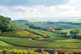 Weinlandschaft im Zabergäu - Ausblick vom Zweifelberg | HeilbronnerLand | © Touristikgemeinschaft HeilbronnerLand e.V.