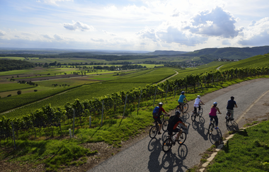 Radreiseleitung im HeilbronnerLand