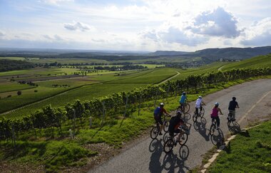 Radreiseleitung Württemberger Weinradweg