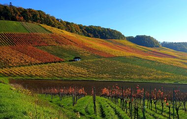 Radreiseleitung Württemberger Weinradweg