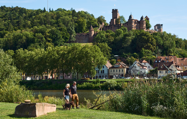 Romantische Straße Von Würzburg nach Rothenburg - Organisierte Wanderung | © Liebliches Taubertal
